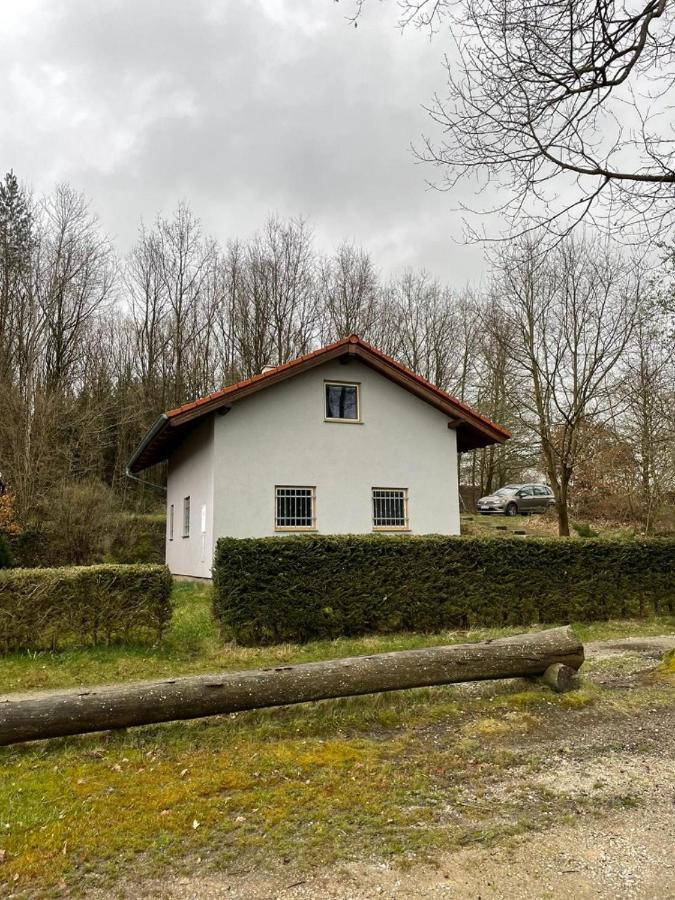 Bezdrev U Hluboke Nad Vltavou Hluboka nad Vltavou